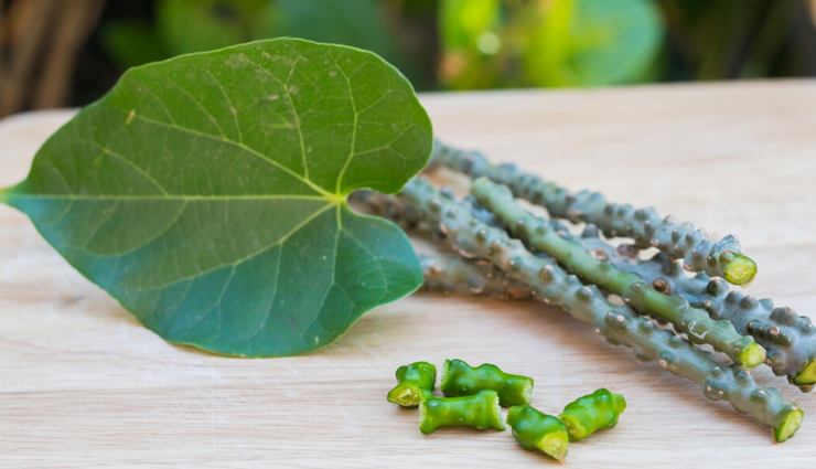 skin longevity,herbs for skin longevity,healthy herbs,skin care tips,beauty tips