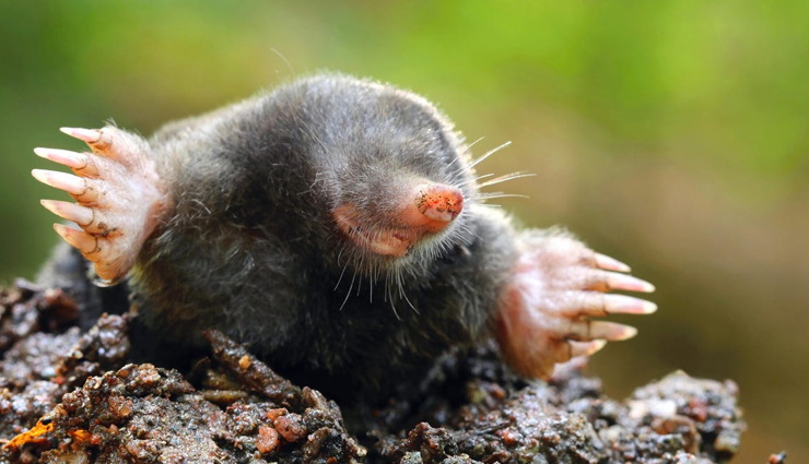 common skin problems,skin care tips,beauty tips