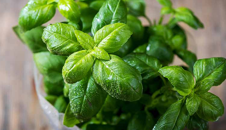 diy skin toners,homemade skin tones,skin care tips,beauty tips