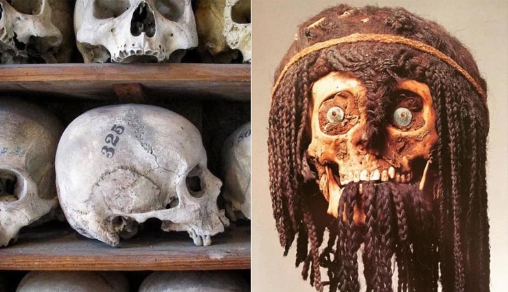 human skeleton business on instagram,human skeleton business,instagram,instagram popular,skull business in uk,human skeleton,weird news,weird news in hindi