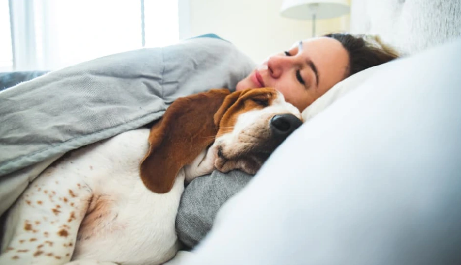 क्या आप अपने कुत्ते को बिस्तर पर सुलाते हैं?, डॉक्टर्स ने बताए गंभीर स्वास्थ्य खतरे