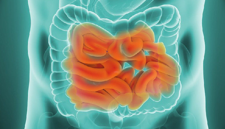 anaplastic thyroid cancer,small bowel adenocarcinoma,fibrolamellar hepatocellular carcinoma,gynaecological sarcoma,salivary gland cancer,thymoma,penile cancer,relapsed metastatic anal cancer,ocular melanoma