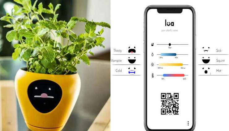 अब आपका पौधा खुद बताएगा किस चीज की है उसको जरुरत, जाने कैसे