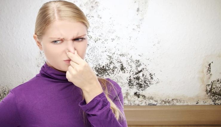 बरसात की नमी फैलाती है घर में बदबू, छुटकारा दिलाएंगे ये उपाय home remedies stink in the house,moisture in the rain,remedies to get rid of moisture stink