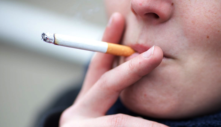 आ गईं गर्मियां, जल्द शुरू करें खरबूजे का सेवन, होंगे ये फायदे muskmelon,muskmelon benefits,muskmelon benefits in summers,health benefits of muskmelon,kharbooja,kharbooja benefits,kharbooja ke fayde,healthy food muskmelon,Health tips