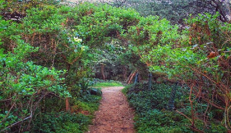 jaipur hidden gems,offbeat places in jaipur,pink city travel guide,jaipur budget experiences,lesser-known places in jaipur,unique things to do in jaipur,jaipur weekend getaway,unexplored jaipur attractions,jaipur travel tips,unesco world heritage jaipur