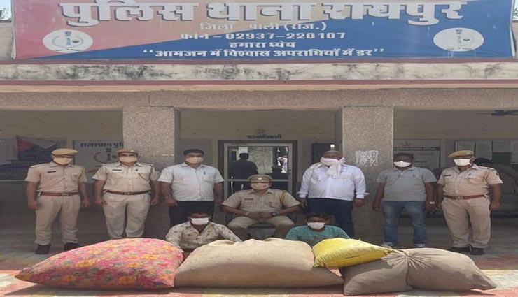 पाली : 110 किलो डोडा पोस्त के साथ पकड़े गए दो सगे भाई, तिरपाल के नीचे छिपा था माल