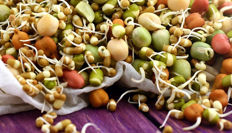 healthy snacks to curb hunger,best snacks for hunger control,nutritious snacks for weight loss,healthy snack ideas,protein-rich snacks,low-calorie snacks,fiber-rich snacks,healthy evening snacks,quick and healthy snacks,best foods to satisfy hunger