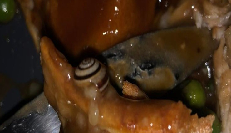 ऑनलाइन खाने में निकली ऐसी चीज कि देखकर ही उड़ गए होश!