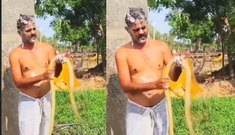बस यही देखना बाकी था! शख्स ने सांप को साबुन लगाकर नहलाया, वीडियो देख लोग रह गए हैरान
