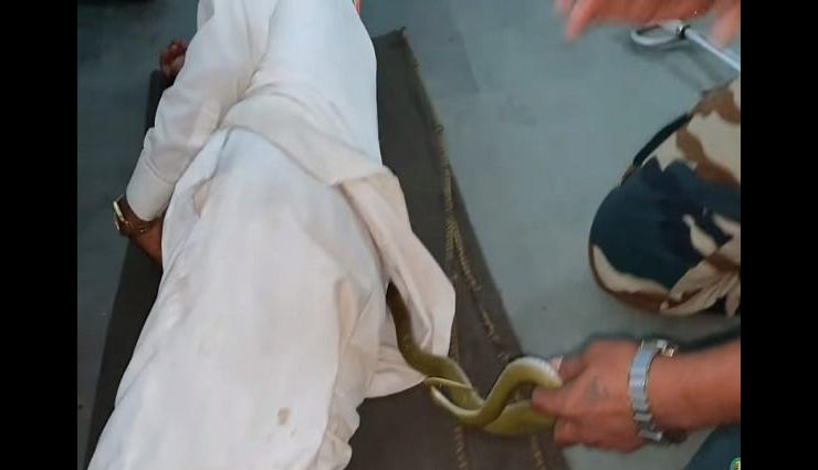इंसान के साथ चैन की नींद ले रहा था सांप, वीडियो वायरल