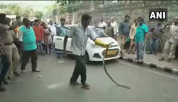 andhra pradesh,snake,tirumala,snake in car,weird story,weird news