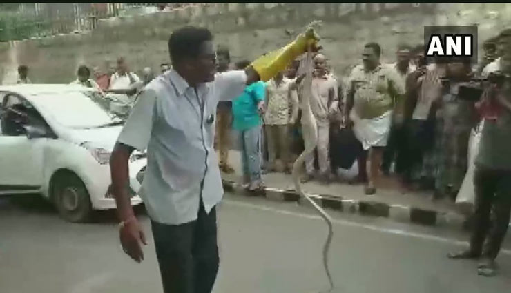 andhra pradesh,snake,tirumala,snake in car,weird story,weird news