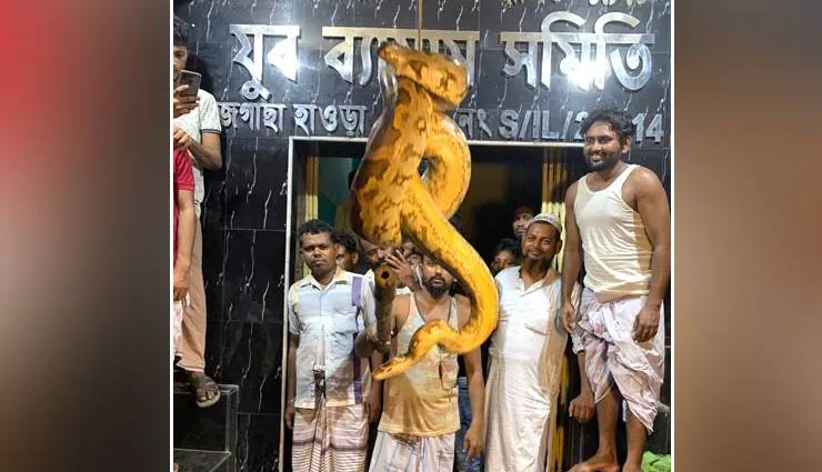 लोगों ने रस्सी से बांध अजगर को 'फांसी' पर लटकाया, देखे तस्वीरें