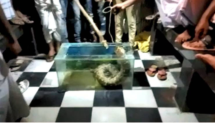 python,rope,howrah,west bengal,python news in hind,news,news in hindi