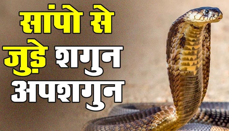क्या बार-बार आपका रास्‍ता काट रहा है सांप, जानें इससे जुड़े शगुन और अपशगुन