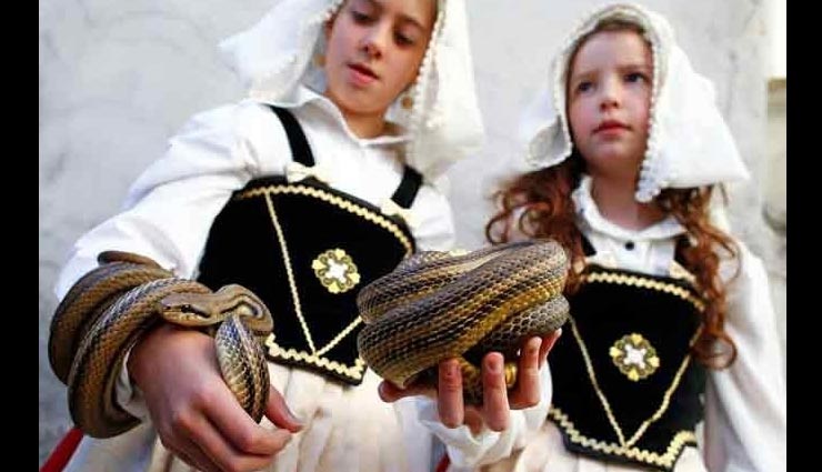 italy,snake festival