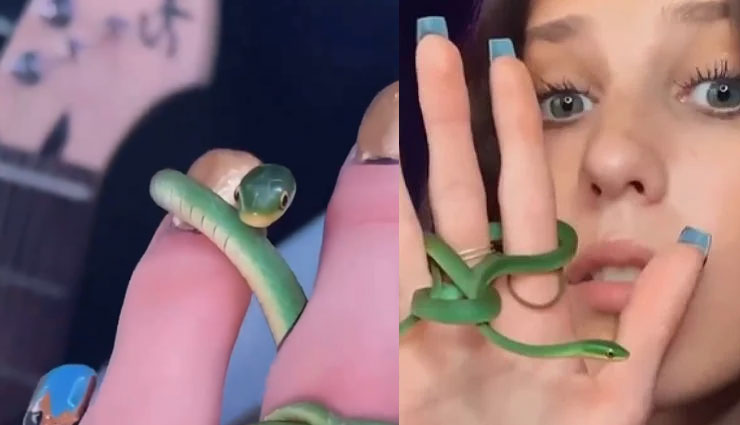 लड़की ने उंगली में अंगूठी की जगह लपेटा सांप, वीडियो देख लोग बोले - जानलेवा स्टंट