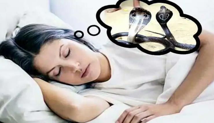 astrology tips,astrology tips in hindi,snake seen in the dream,importance of dream,dream effects on the life