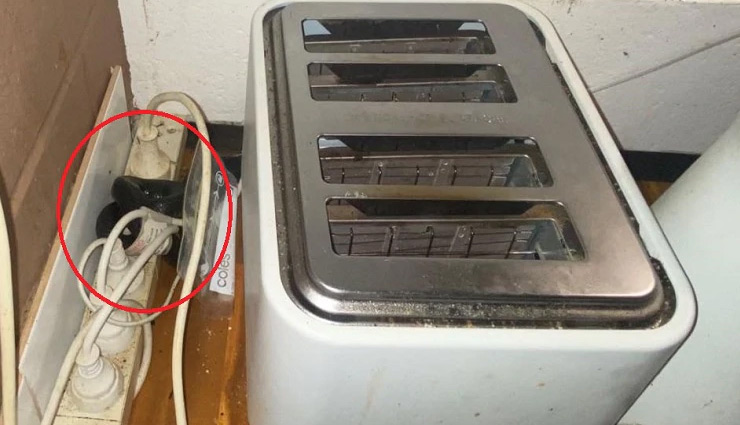 australia,woman,snake,toaster,kitchen,news