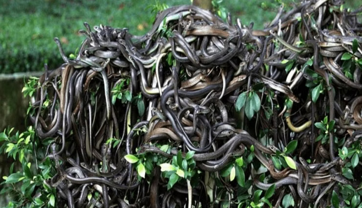 dangerous destinations to avoid,most dangerous places in the world,travel warnings for dangerous places,places to avoid for personal safety,high-risk travel destinations,dangerous cities to visit,world most unsafe places,travel safety tips for dangerous destinations,places with high crime rates,dangerous tourist attractions