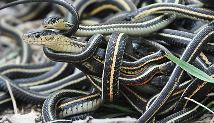 must-see places on earth,exceptional travel destinations,bucket list travel spots,hidden gems around the world,iconic landmarks to visit,unique places to explore,travel wonders of the world,off-the-beaten-path destinations,extraordinary travel experiences,places of unforgettable beauty