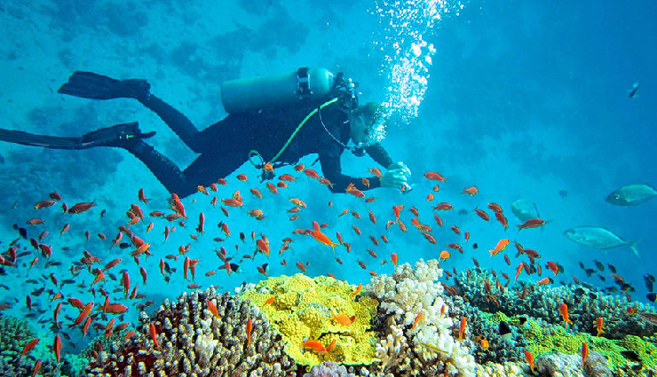 andaman scuba diving spots,best diving destinations in andaman,top andaman scuba sites,scuba diving adventures in andaman,andaman diving spots exploration,andaman scuba diving hotspots,andaman underwater experiences,andaman dive sites discovery,best places for scuba diving in andaman,andaman diving adventures