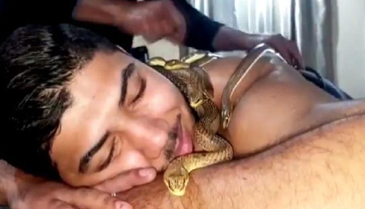 अनोखी मसाज जिसमें तेल नहीं सांपो का होता हैं इस्तेमाल, मिलती हैं थकान और दर्द से राहत