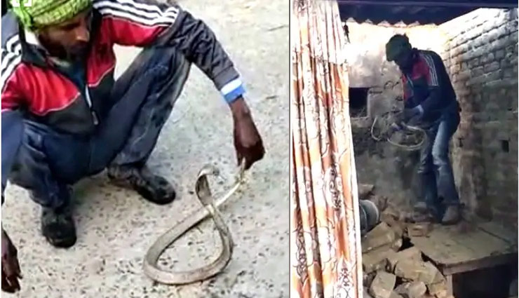 पहले सांप को रगड़-रगड़ कर नहलाया फिर कुर्सी पर बैठाया, देखने वालों के रोंगटे हुए खड़े 