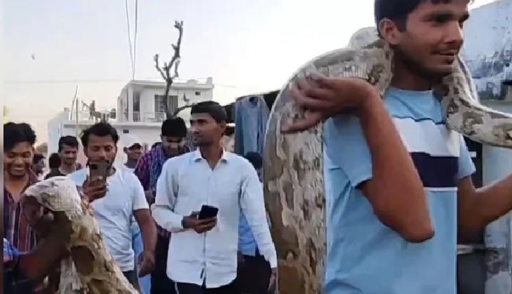 राजस्‍थान : सवाई माधोपुर में दिखा 18 फीट लंबा अजगर, गांव में मचा हड़कंप