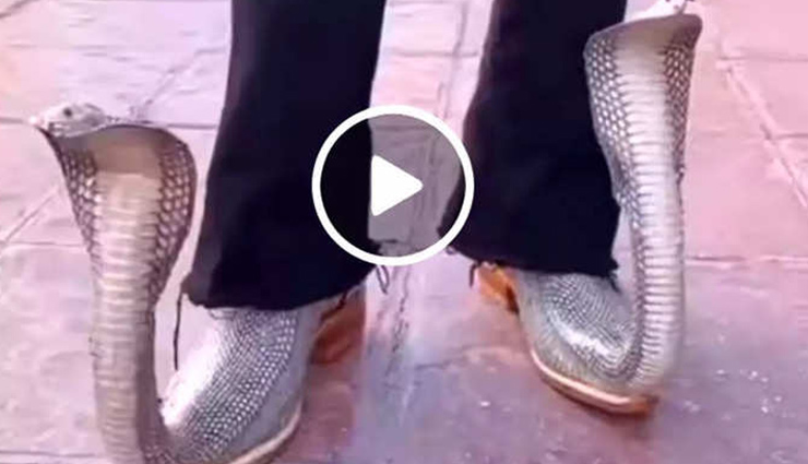 सोशल मीडिया पर वायरल हुआ 'सांप के फन' वाला जूता, वीडियो में आप भी देखें 