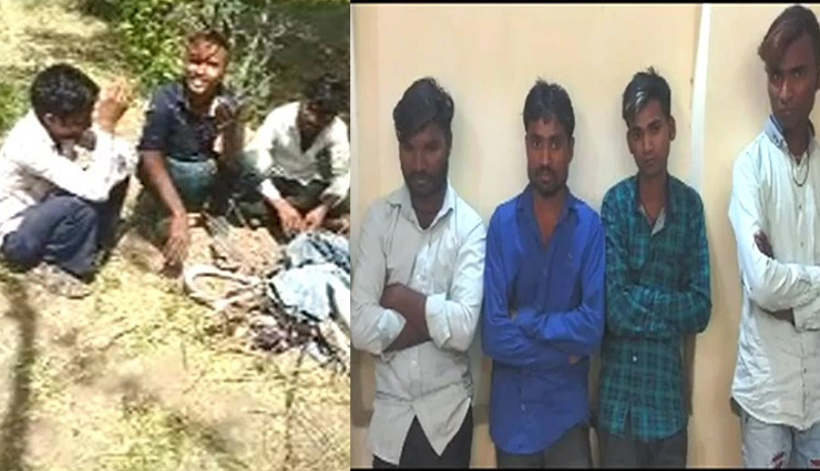 tiktok,dance with snake,snake,dance,tiktok viral video,mahisagar,gujarat,tiktok news,weird news