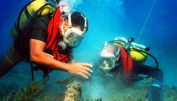 water sports in india,adventure water sports,water sports destinations,water sports activities,best places for water sports,water sports in coastal india,popular water sports in india,water sports tourism,top water sports spots,water sports adventures,best water sports destinations,thrilling water sports in india,water sports for adrenaline junkies,water sports guide,water sports experiences