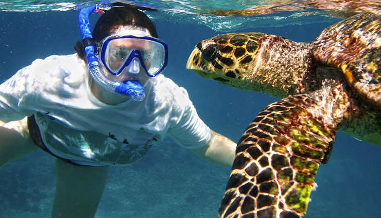 5 Places in India To Enjoy Snorkeling