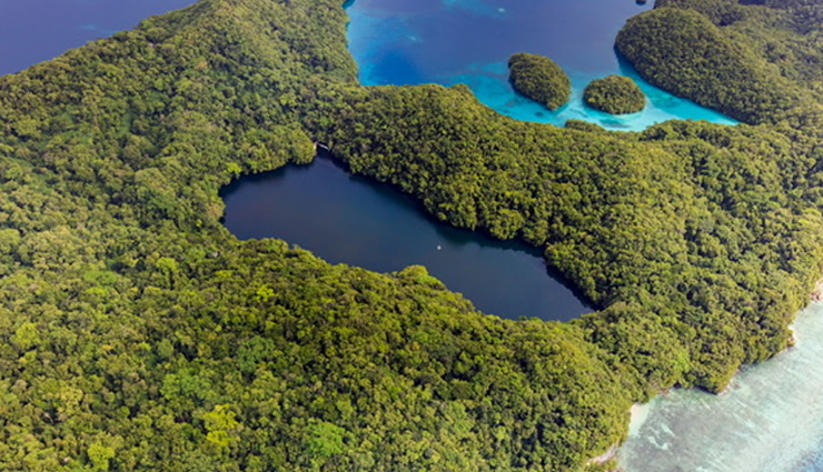 snorkeling sites,snorkeling sites in the world,churchill,manitoba,canada,belugas,mayan riviera,mexico,cenotes,rock islands,palau,jellyfish lake,grenada,west indies,underwater museum,campbell river,british columbia,canada,salmon