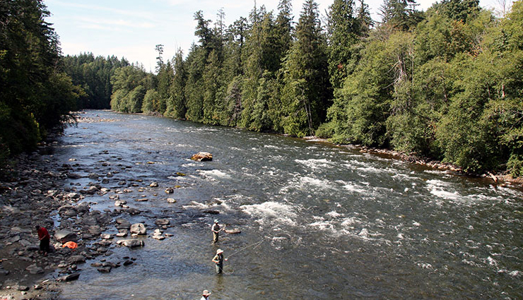 snorkeling sites,snorkeling sites in the world,churchill,manitoba,canada,belugas,mayan riviera,mexico,cenotes,rock islands,palau,jellyfish lake,grenada,west indies,underwater museum,campbell river,british columbia,canada,salmon