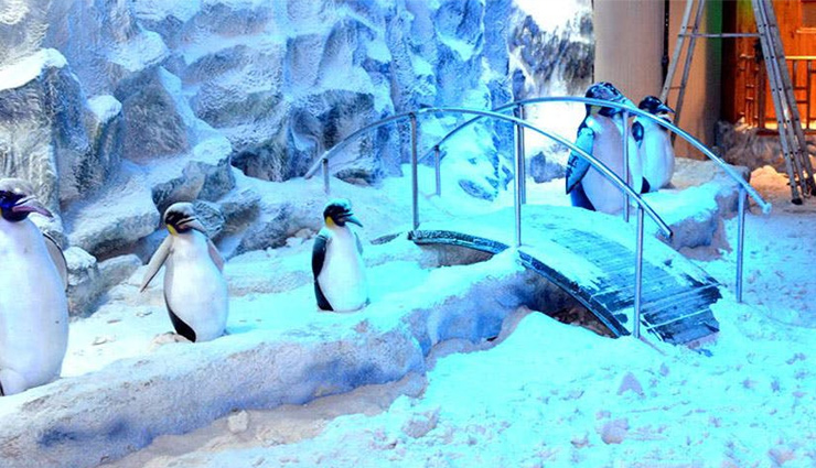 travel,travel guide,mumbai travel,mumbai travel guide,travel with kids