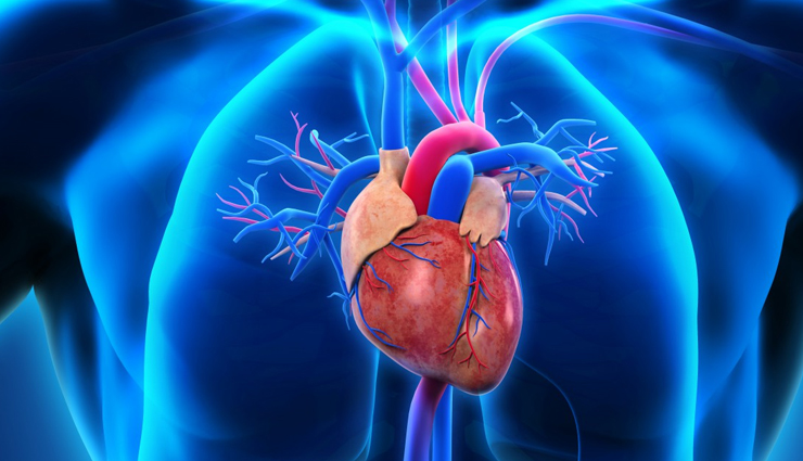 sockeye salmon,health benefits of sockeye salmon,Health tips,fitness tips