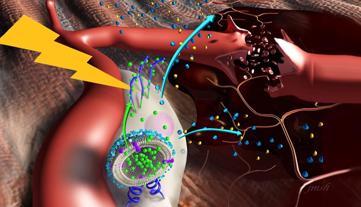 sockeye salmon,health benefits of sockeye salmon,Health tips,fitness tips