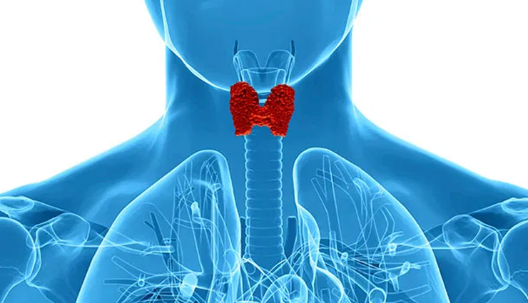 sockeye salmon,health benefits of sockeye salmon,Health tips,fitness tips