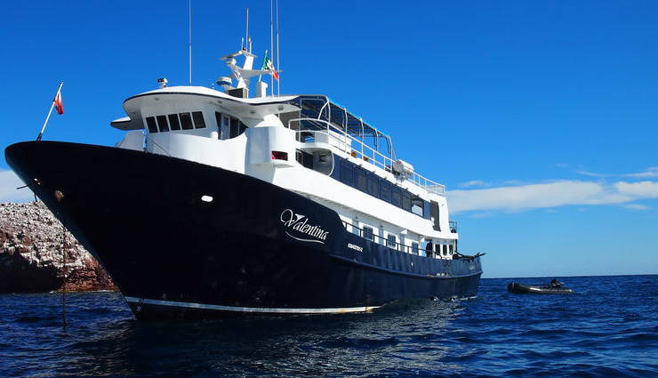 best wildlife cruises,wildlife exploration cruises,wildlife watching cruises,wildlife safari cruises,top wildlife destinations on a cruise,global wildlife cruising adventures,wildlife-rich cruise destinations,wildlife encounters on cruises,best cruises for wildlife enthusiasts,must-visit wildlife cruising destinations