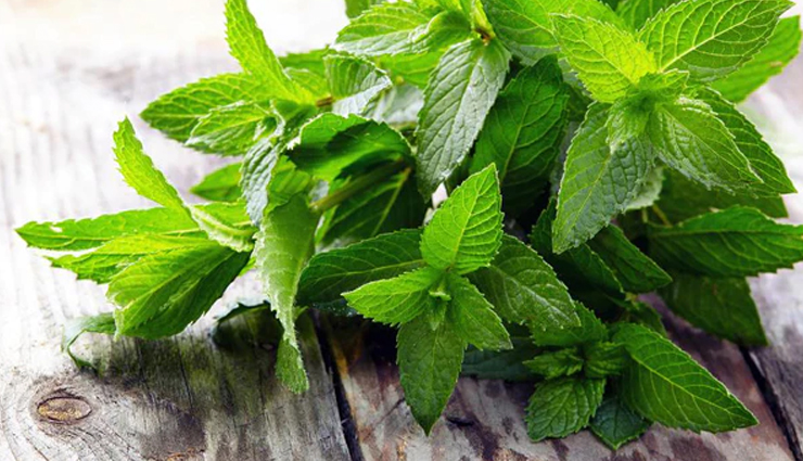 soft feet,ingredients for soft feet,feet care tips,beauty tips,skin care tips