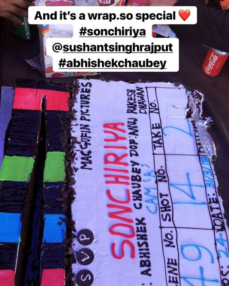 son chiriya,bhumi pednekar,sushant singh,entertainment news,abhishek chaubey