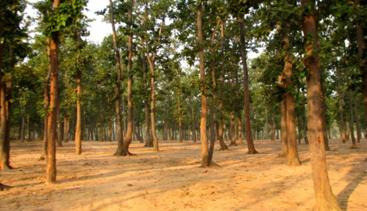 monsoon destinations west bengal,top places to visit in west bengal,best monsoon spots west bengal,mukutmanipur attractions,diamond harbour travel guide,bakkhali beach visit,sundarbans tourism,bakreswar travel tips,santiniketan monsoon visit,sonajhuri forest attractions,barrackpore sightseeing,tajpur beach guide