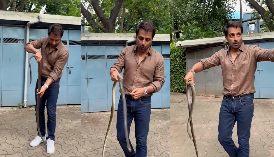  सावन में रियल हीरो बने सोनू सूद, सांप को बहादुरी से किया रेस्क्यू, वीडियो देख बोले लोग- 'खतरों के खिलाड़ी'