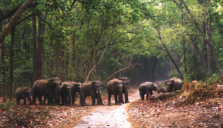jim corbett national park,uttarakhand,pushkar,rajasthan,dharamsala,himachal pradesh,lonavala,maharashtra,mount abu,places in india,mind soothing places in india,relaxing places in india,india