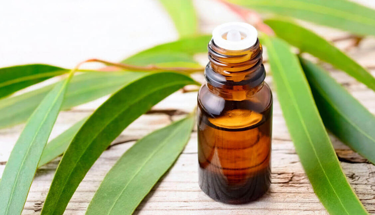 lavender essential oil,rosemary essential oil,thyme essential oil,ginger essential oil,eucalyptus essential oil,peppermint essential oil,helichrysum essential oil,sandalwood essential oil,essential oils,essential oils to treat muscle pain,muscle pain treatment,Health tips,fitness tips