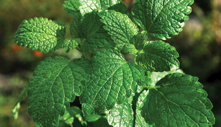 sore throat,home remedies for sore throat,throat care tips,Health tips,fitness tips