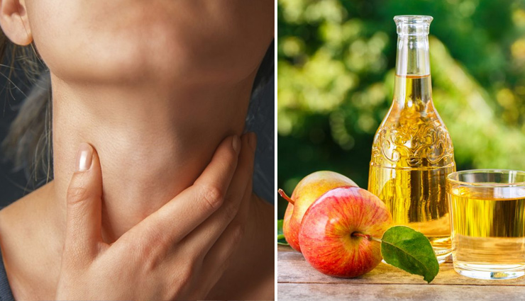 गले की खराश मिटाने के साथ ही सेहत को कई फायदे पहुंचाता हैं सेब का सिरका, जानें इसके बारे में 