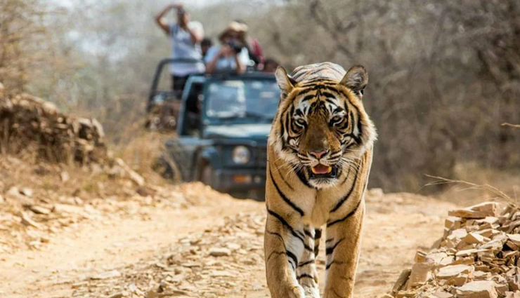 soulful destinations in india,india,places to visit in india,peaceful places to visit in india,jim corbett national park,uttarakhand,pushkar,rajasthan,dharamsala,himachal pradesh,lonavala,maharashtra,mount abu,rajasthan,sunderbans,west bengal